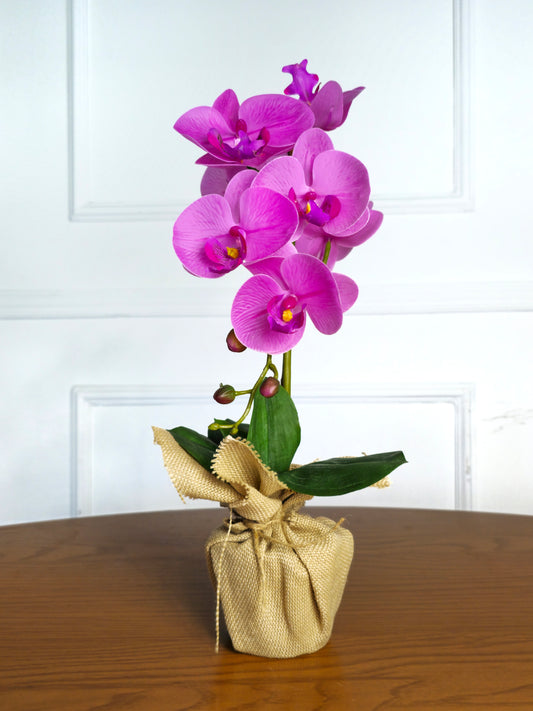 Arranjo Permanente Orquídea Rosa Juta (Box Dia das Mães)
