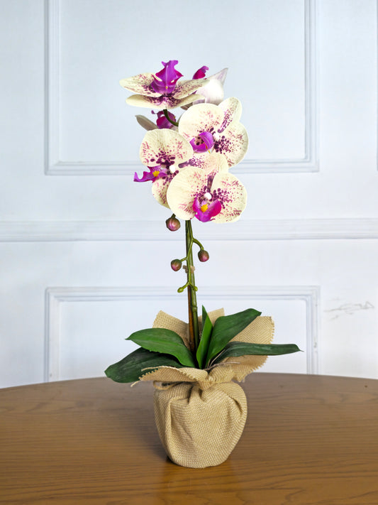 Arranjo Permanente Orquídea Amarela Juta (Box Dia das Mães)