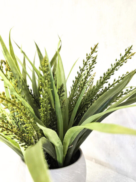 Arranjo Modern Alpha