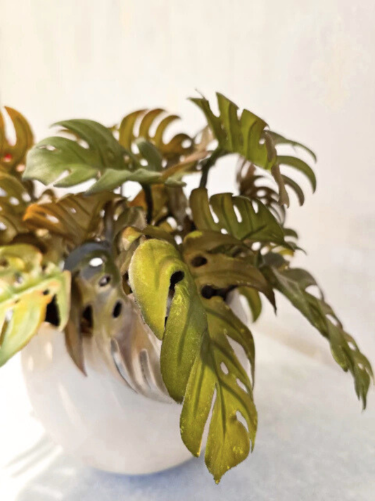 Arranjo Modern Mini Costelas (Outonado)