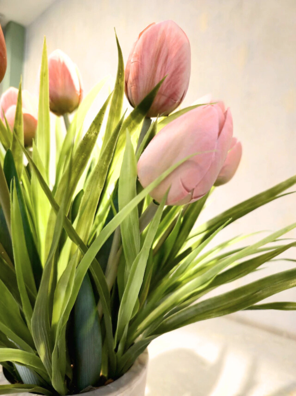 Arranjo Tulipas Marie