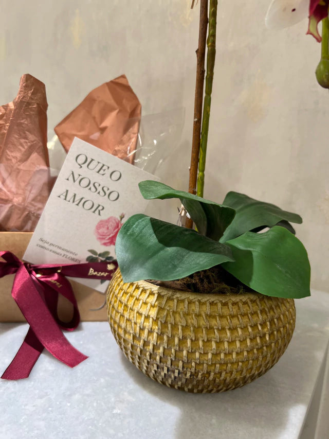 Box Arranjo de Orquídeas Athena