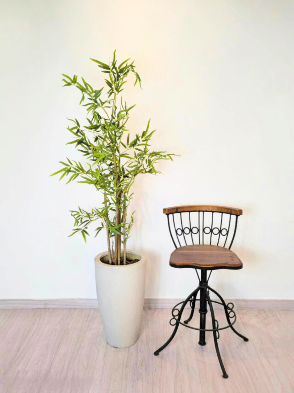 Árvore Hibrida de Bambu Japonês (1,20m H)