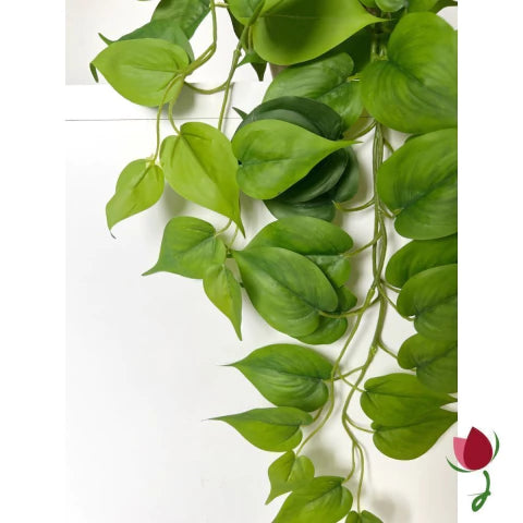 Folhagem Jiboia M (Verde)