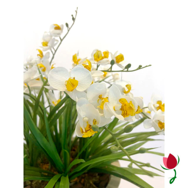 Orquídeas Bali G Brancas | Vaso Branco Mármore