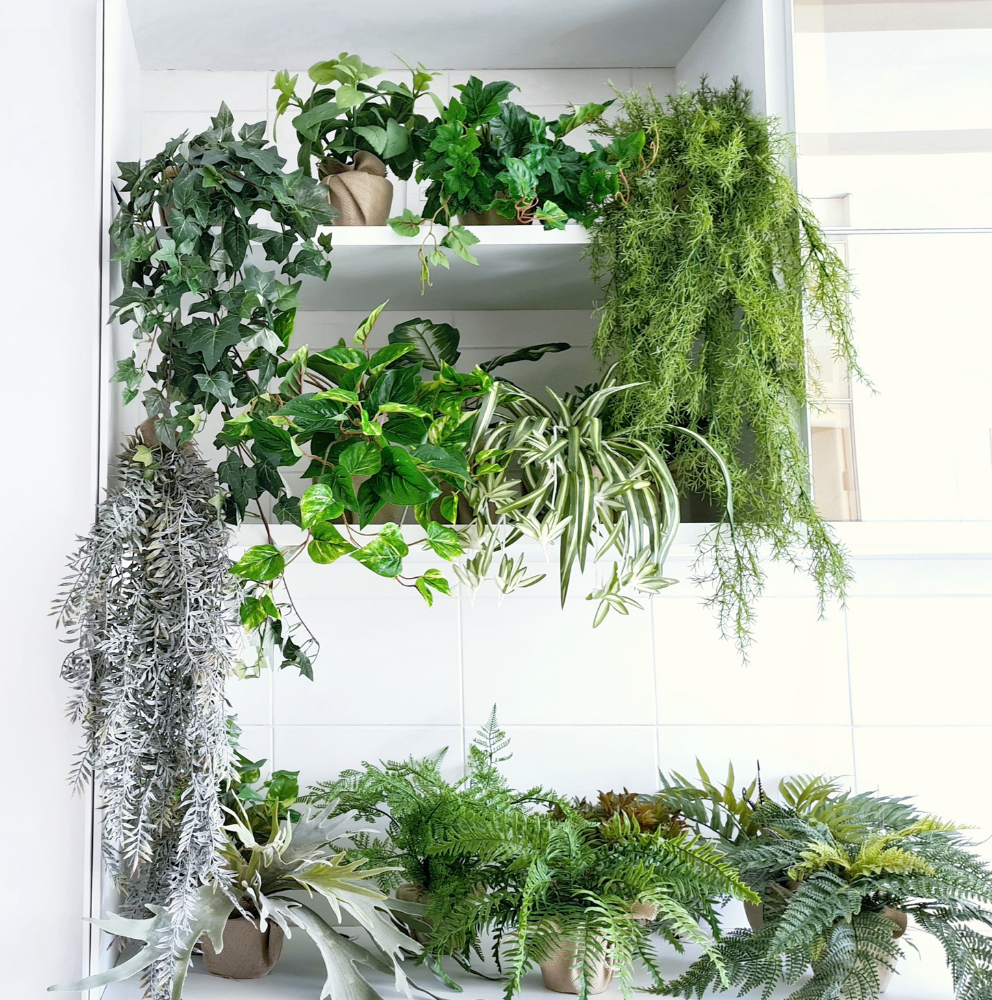 Coleção Urban Jungle