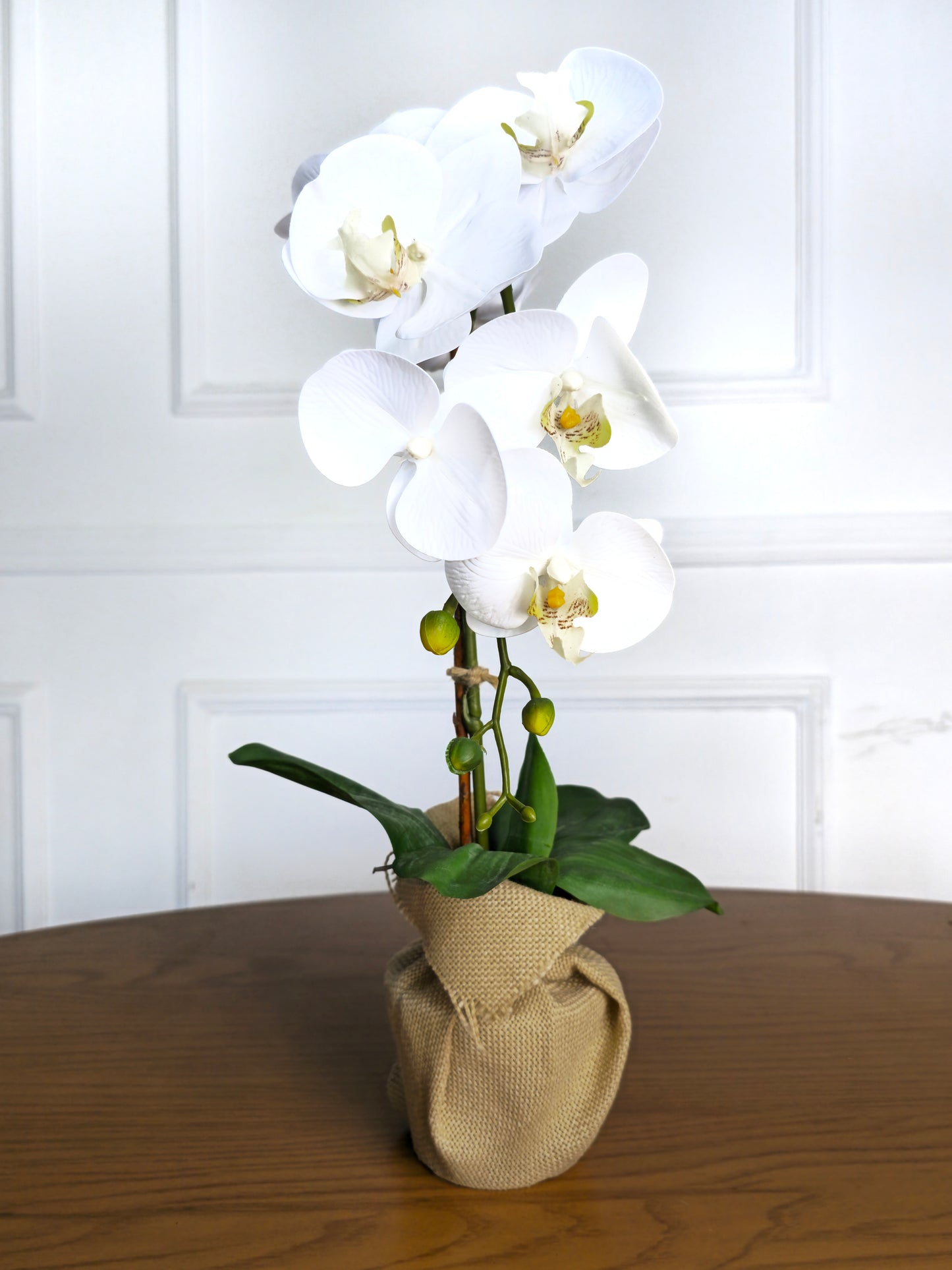 Arranjo Permanente Orquídea Branca Juta (Box Dia das Mães)