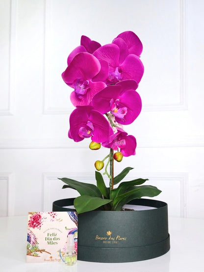 Arranjo Permanente Orquídea Pink Cerâmica (Box Dia das Mães)