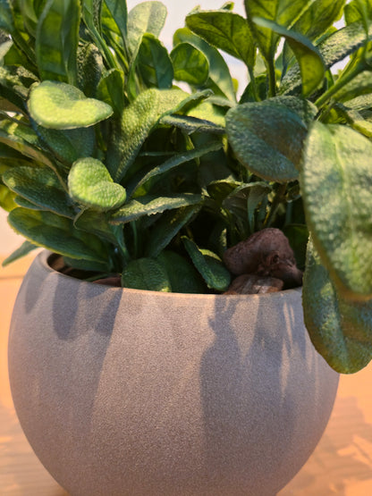 Arranjo Modern Salvia