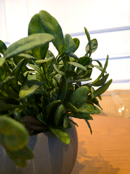 Arranjo Modern Salvia