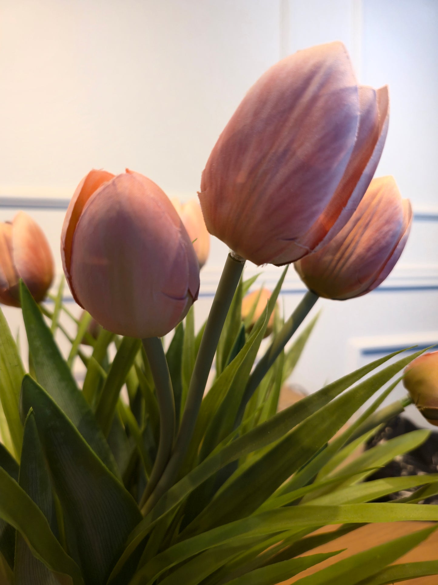 Arranjo Permanente Tulipas Aquario