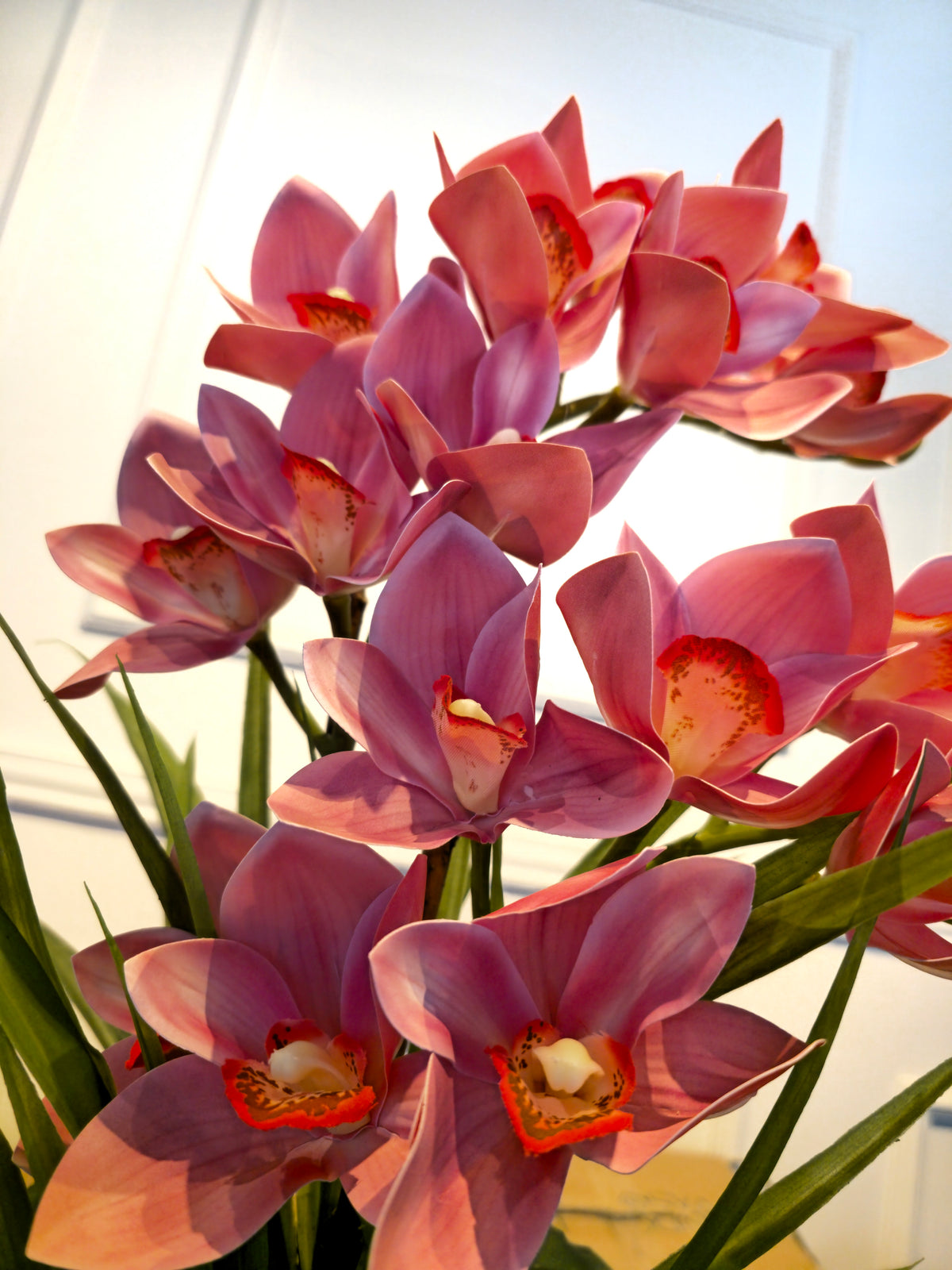 Arranjo Permanente Orquídeas Cymbidium Rosa Aquario