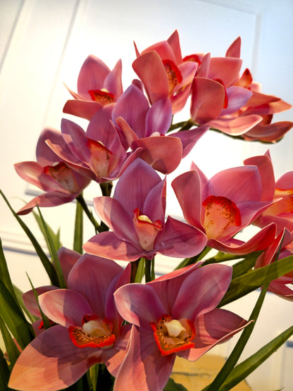 Arranjo Permanente Orquídeas Cymbidium Rosa Aquario