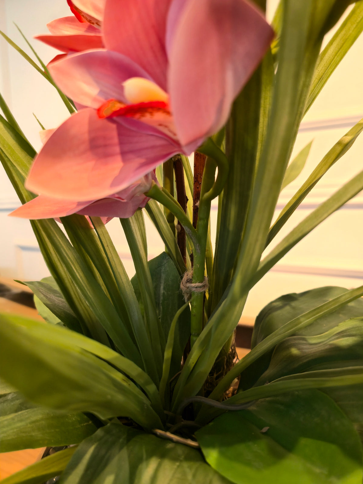 Arranjo Permanente Orquídeas Cymbidium Rosa Aquario