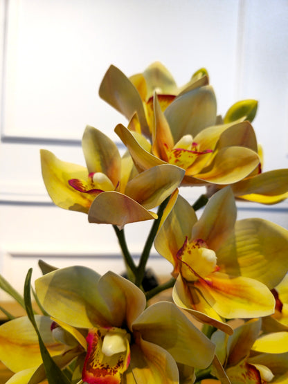 Arranjo Permanente Orquídea Cymbidium Tulum