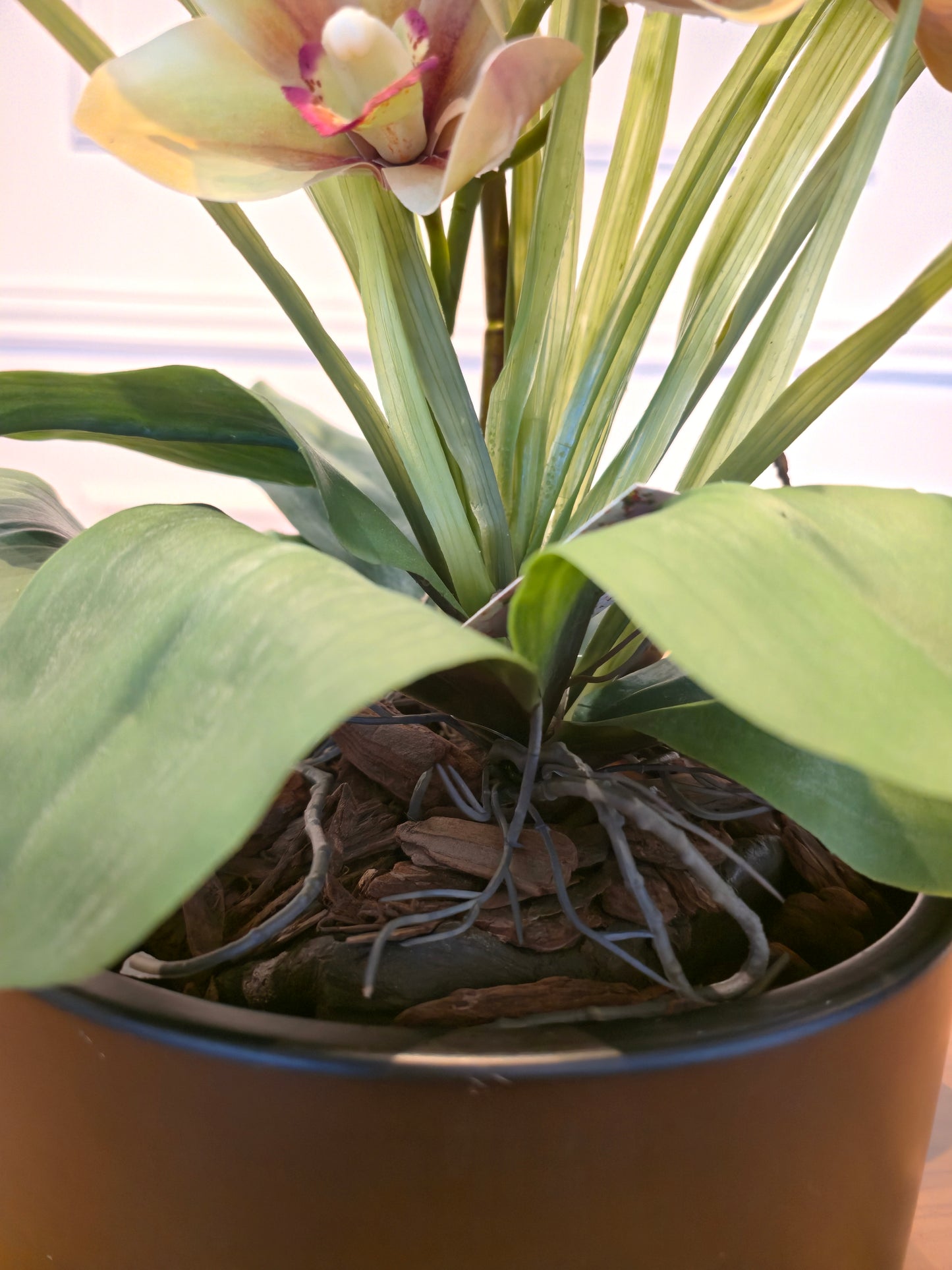 Arranjo Permanente Orquídea Cymbidium Tulum