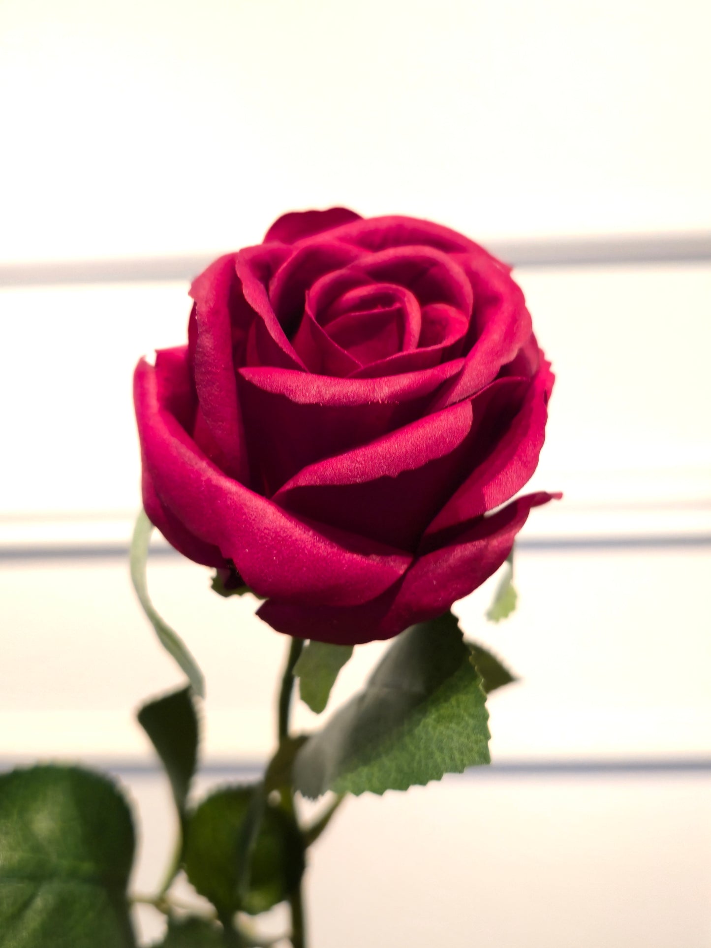 Galho de Rosa Permanente