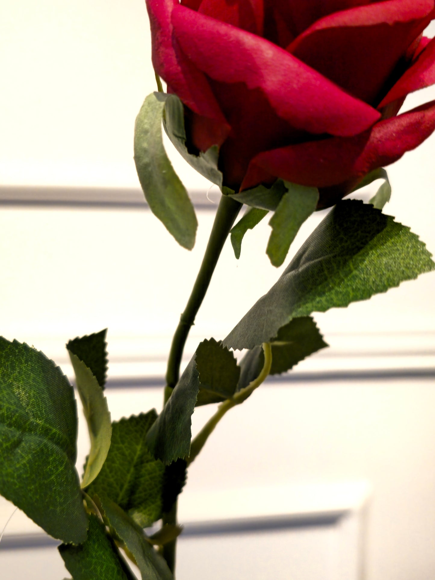 Galho de Rosa Permanente