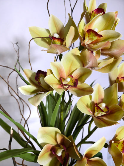 Arranjo Permanente Cymbidium Tall Amarela