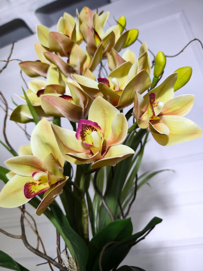 Arranjo Permanente Cymbidium Tall Amarela