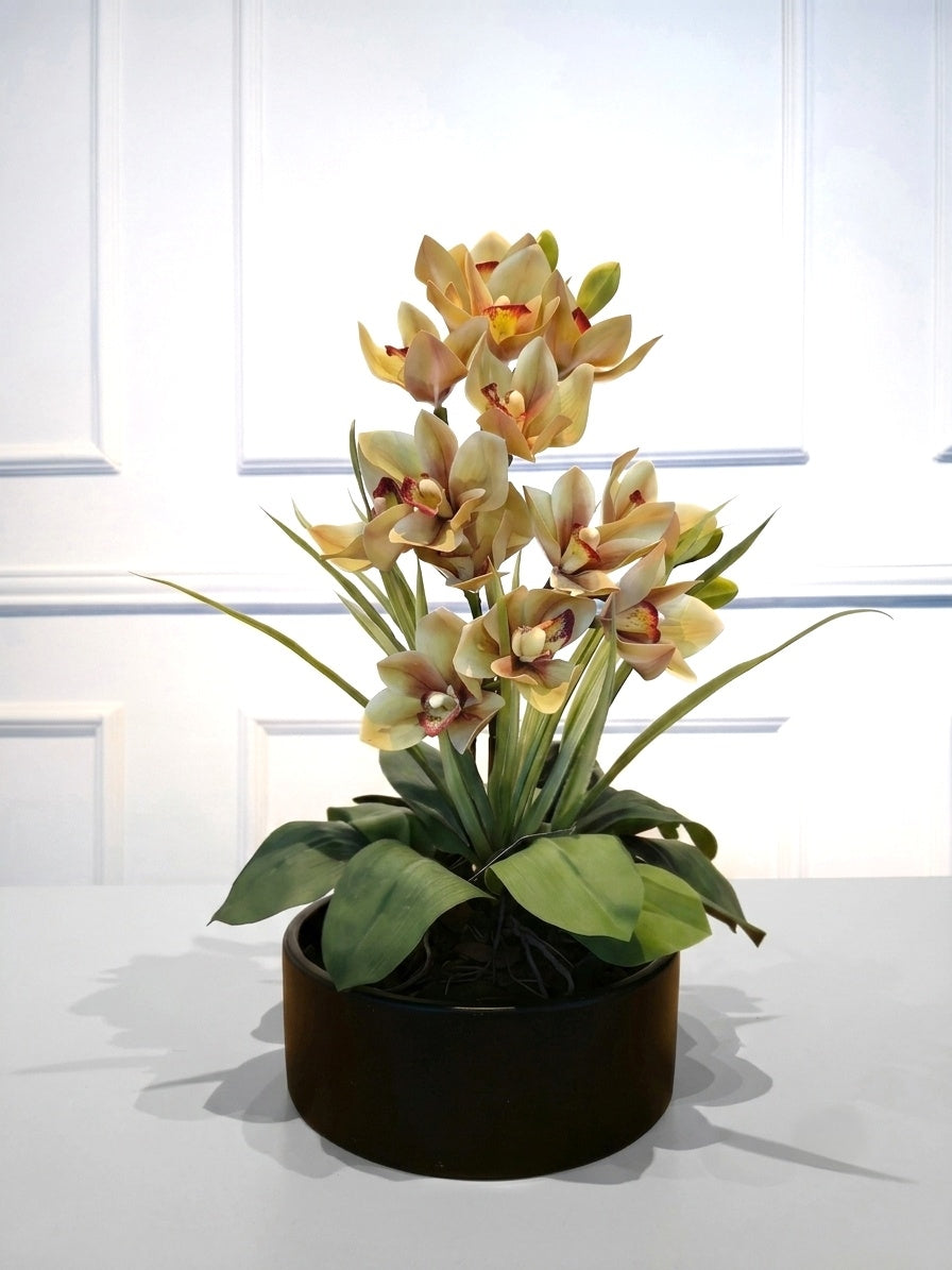Arranjo Permanente Orquídea Cymbidium Tulum