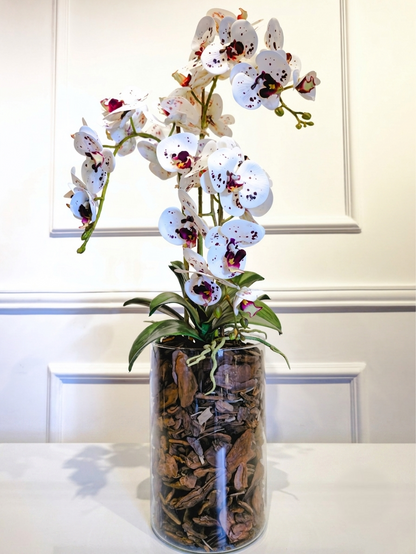 Arranjo Orquídeas Athena X4 (Rosa Tigre)