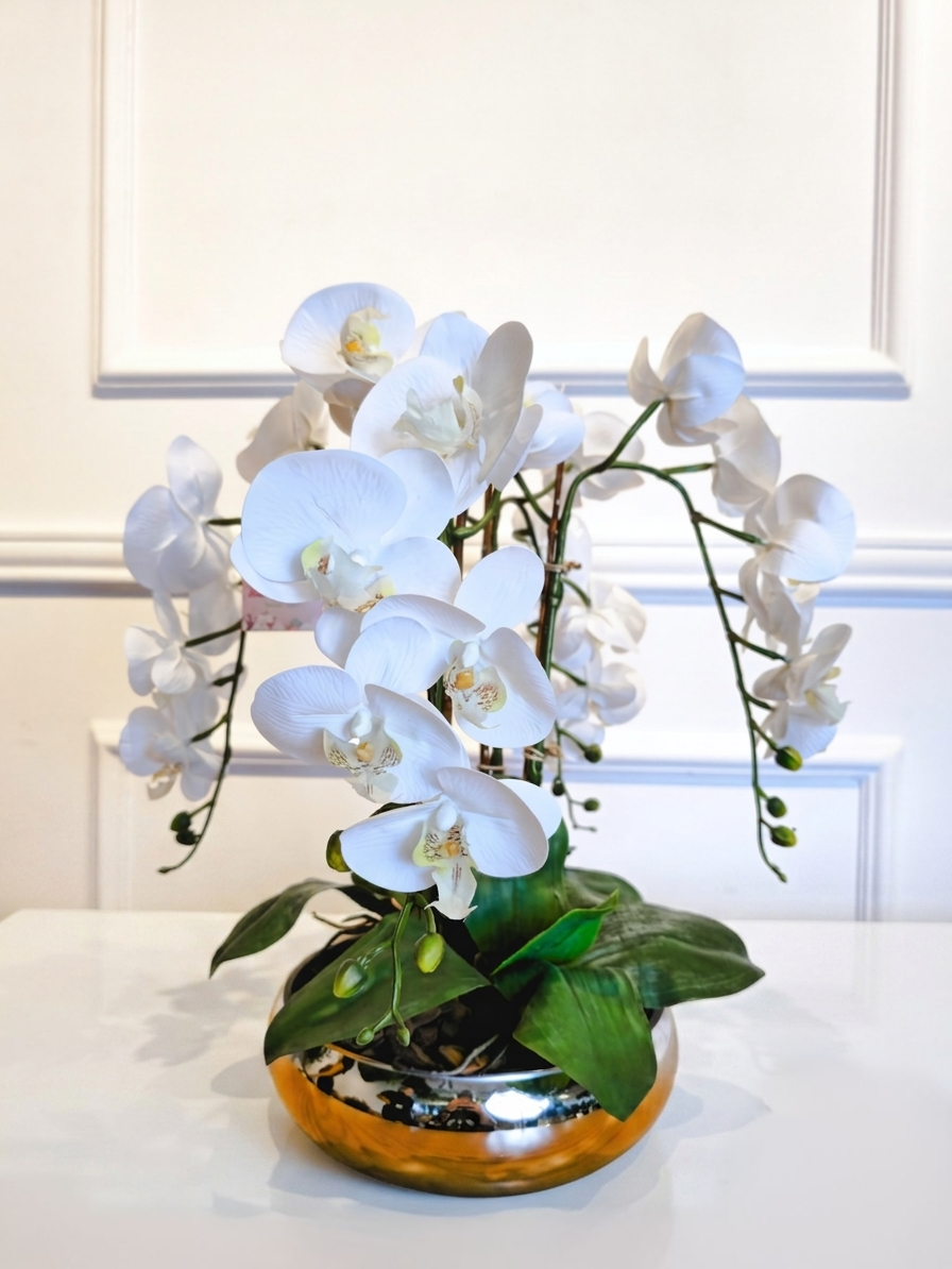 Arranjo Orquídeas Brancas Rennes