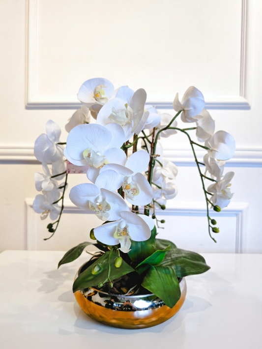 Arranjo Orquídeas Brancas Rennes