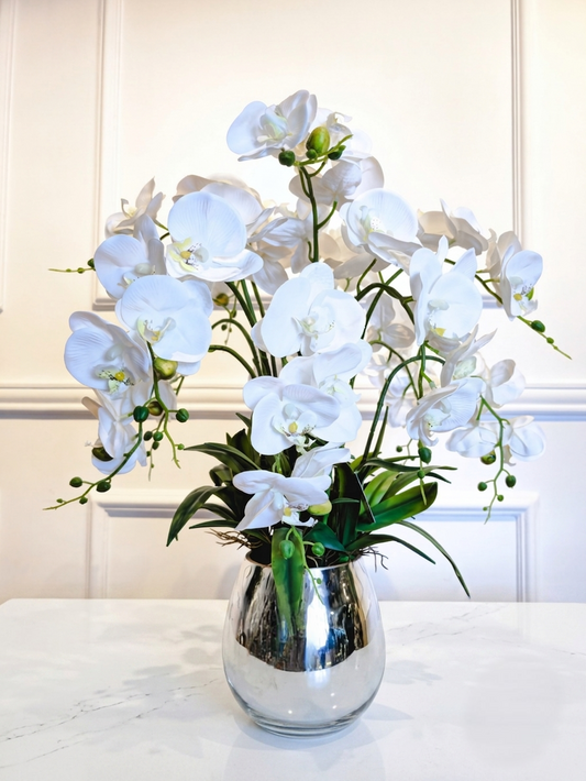 Arranjo Orquídeas Brancas Silver