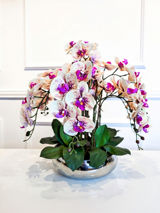 Arranjo Orquídeas Shine