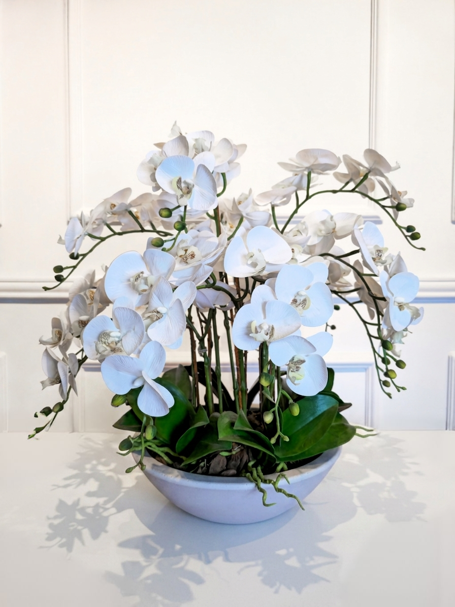 Arranjo Orquídeas Brancas Classic