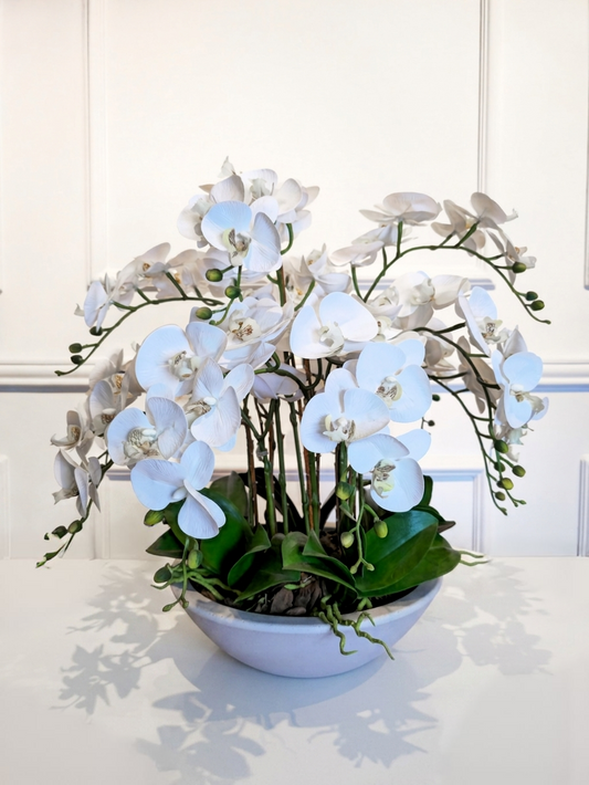 Arranjo Orquídeas Brancas Classic
