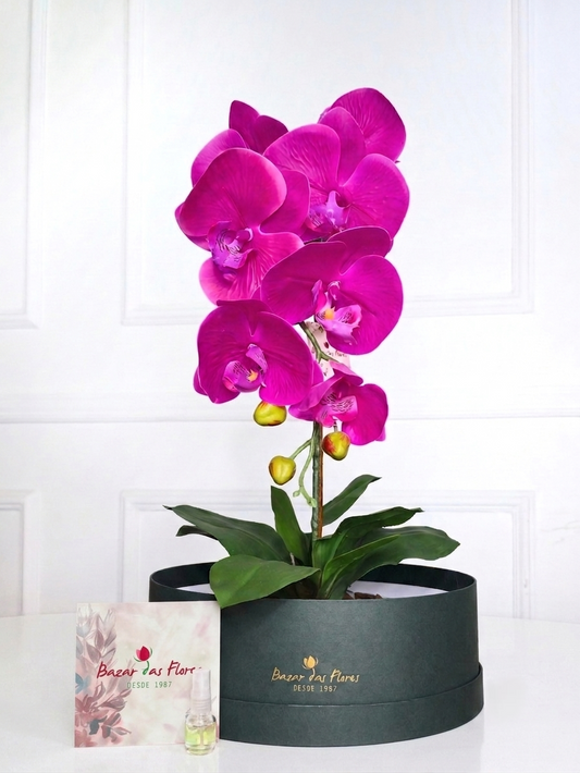 Arranjo Permanente Orquídea Pink Cerâmica (Box Presente)