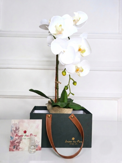 Arranjo Permanente Orquídea Branca Juta (Box Presente)