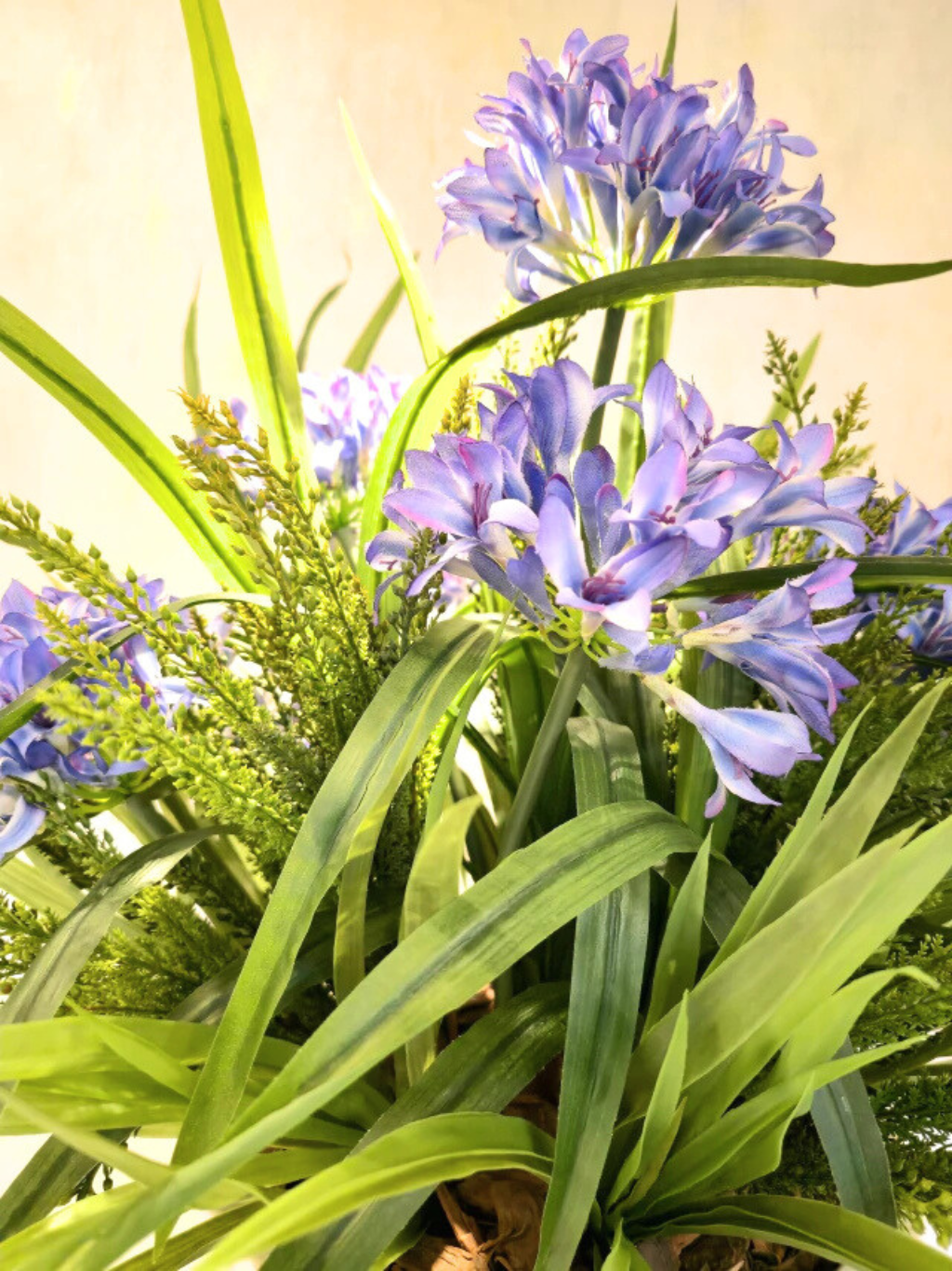 Arranjo Agapanthus Lilás