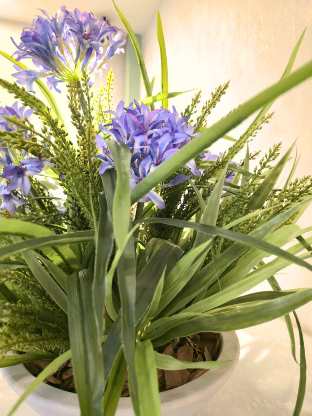 Arranjo Agapanthus Lilás