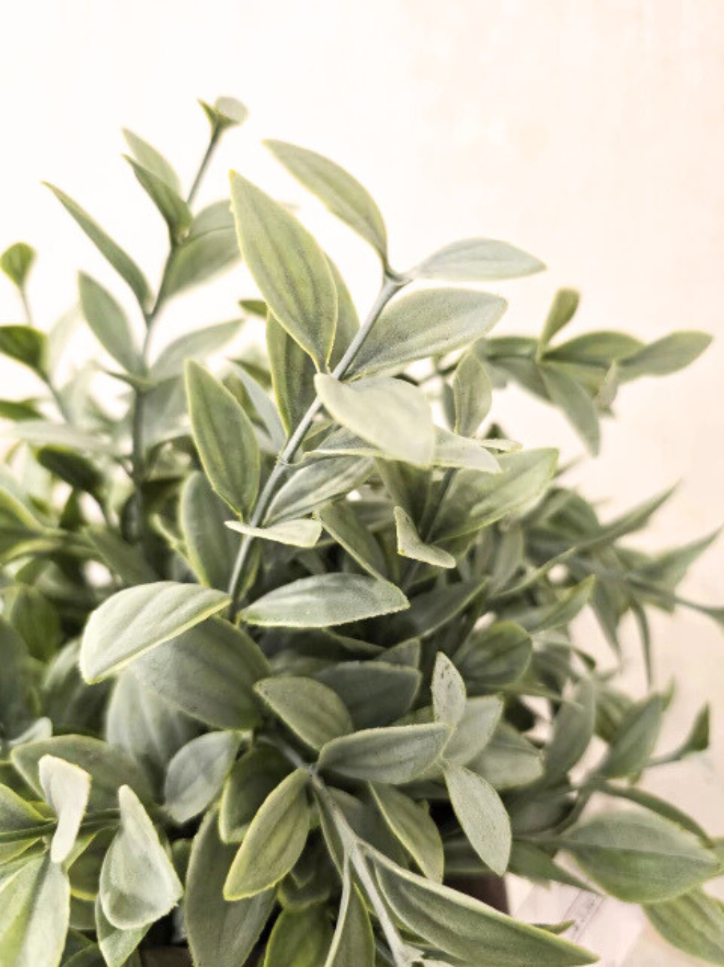 Arranjo Modern Athena