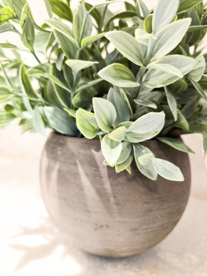 Arranjo Modern Athena