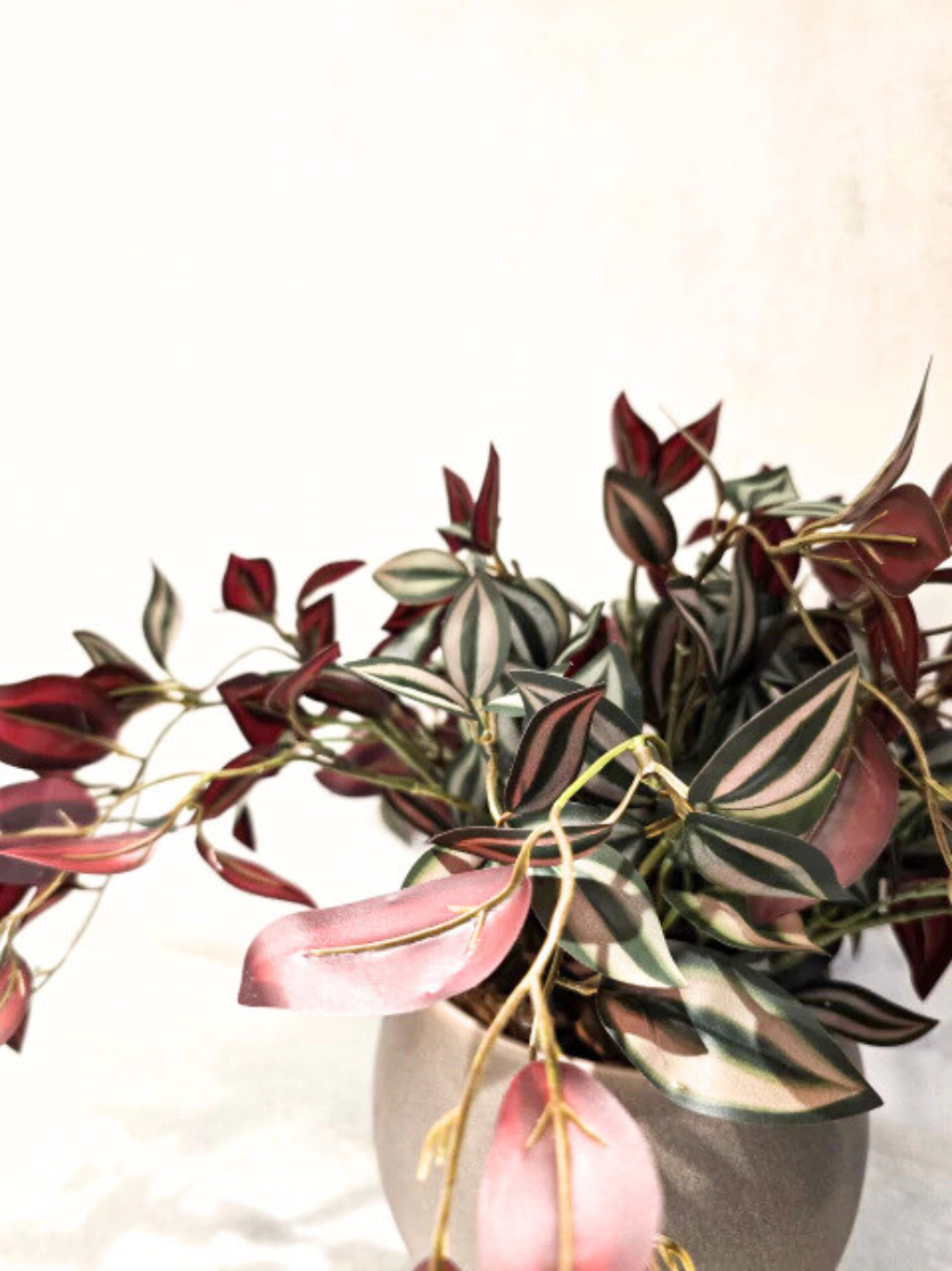 Arranjo Modern Lambari