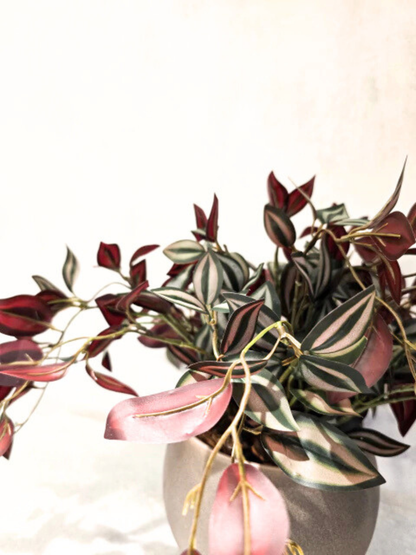 Arranjo Modern Lambari