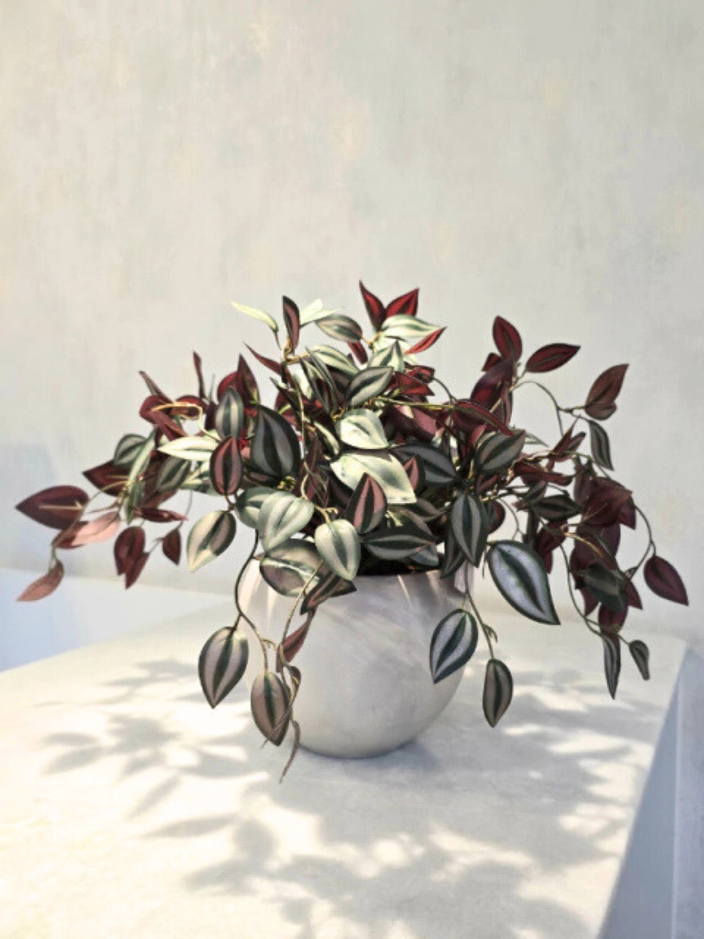 Arranjo Modern Lambari