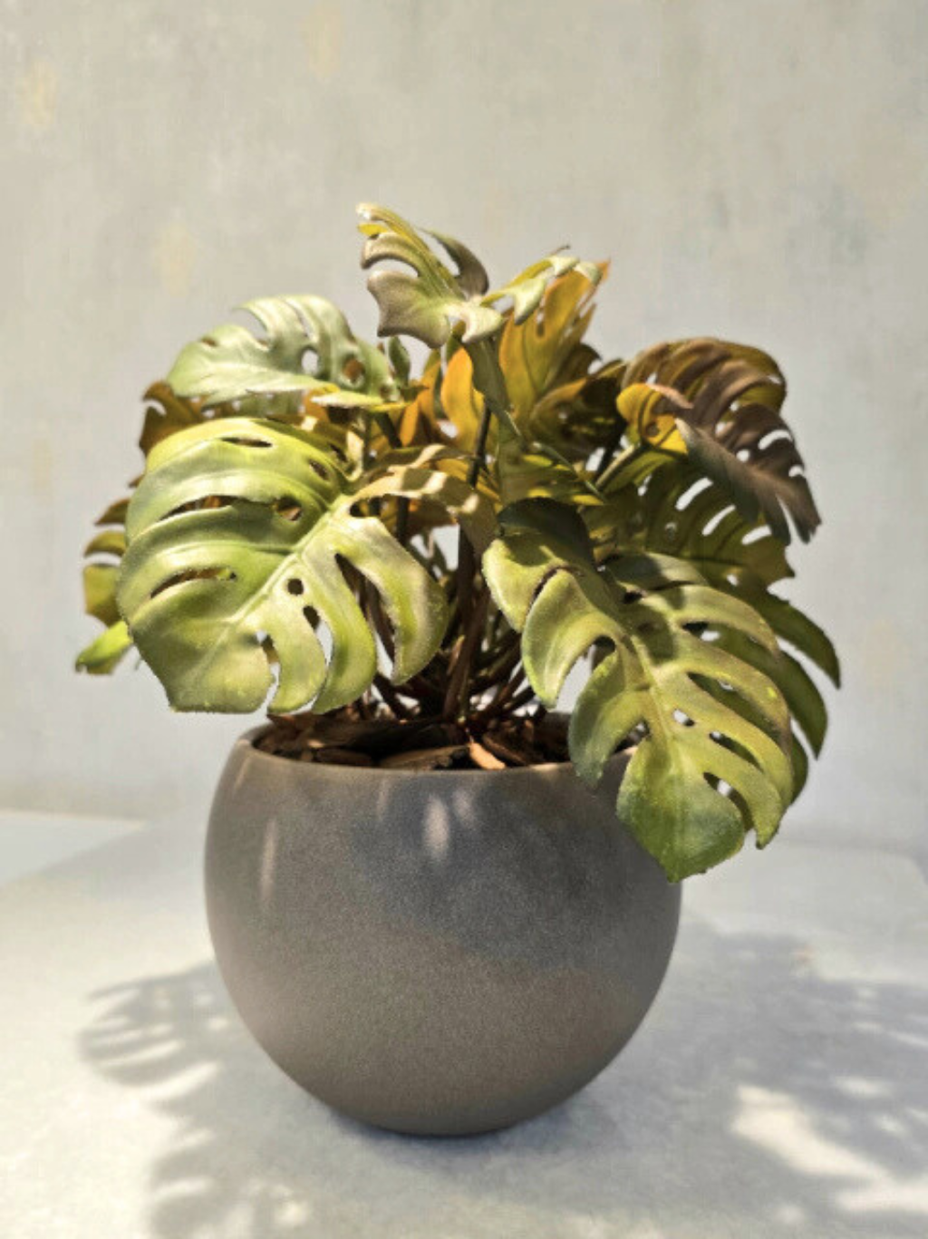 Arranjo Modern Mini Costelas (Outonado)