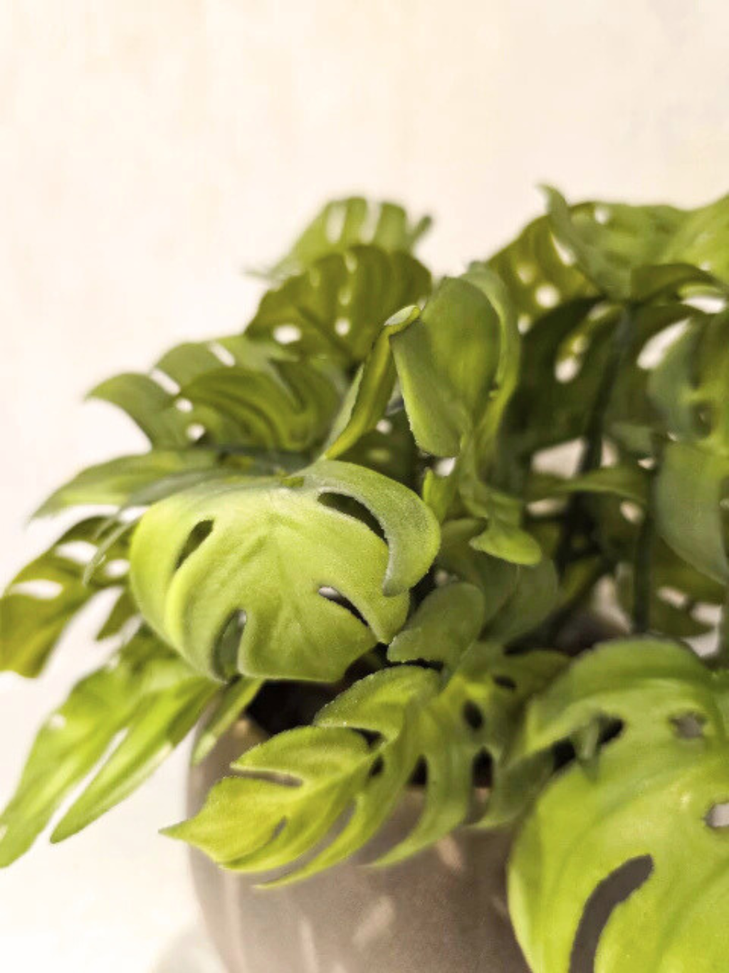 Arranjo Modern Mini Costelas (Verde)