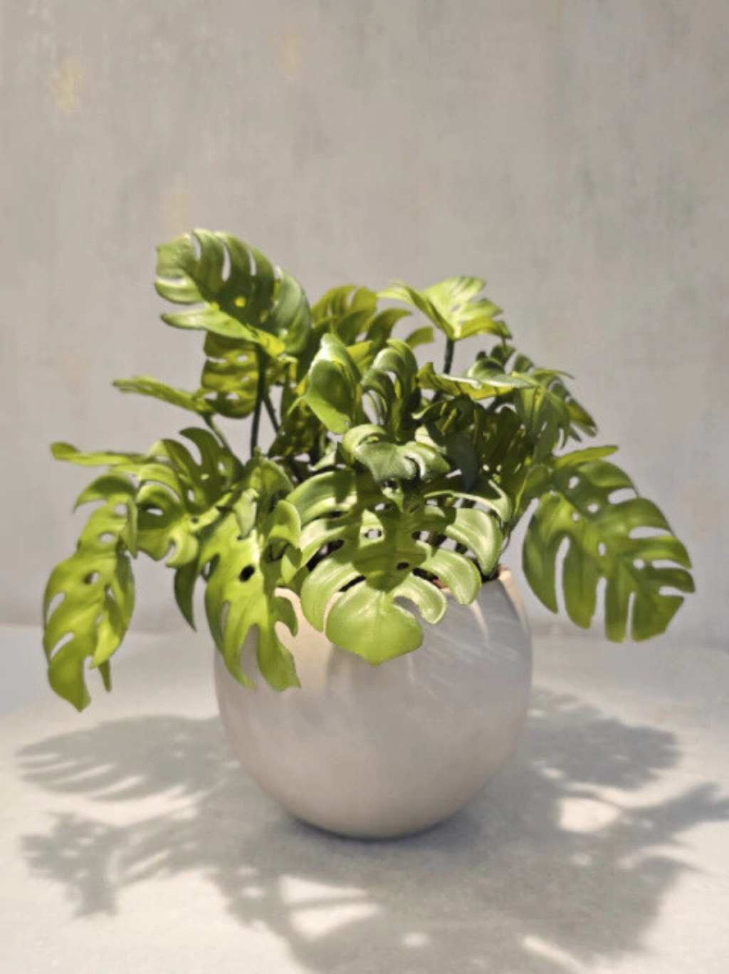 Arranjo Modern Mini Costelas (Verde)