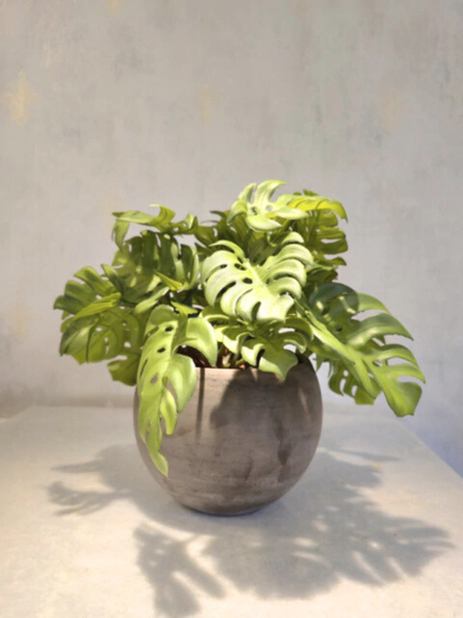 Arranjo Modern Mini Costelas (Verde)