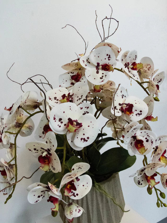 Arranjo Orquídeas Geometric