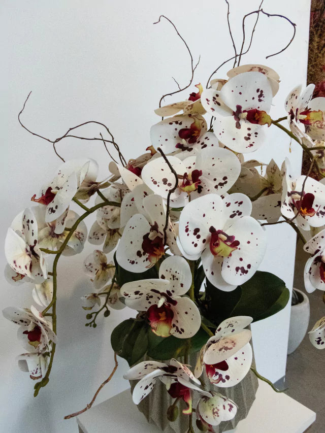 Arranjo Orquídeas Geometric