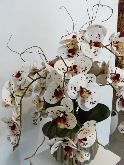 Arranjo Orquídeas Geometric