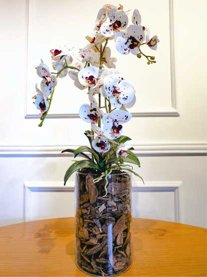 Arranjo Orquídeas Athena X4 (Rosa Tigre)
