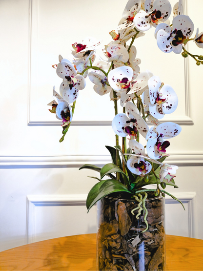 Arranjo Orquídeas Athena X4 (Rosa Tigre)